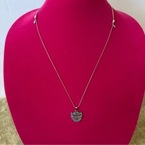 Alex and Ani Warrior Princess Necklace Silver Tone | New No Tages